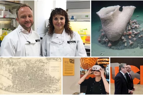 UCL researchers and students